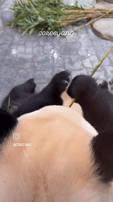 IJjQpf.gif