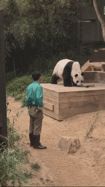 IQjzvH.gif