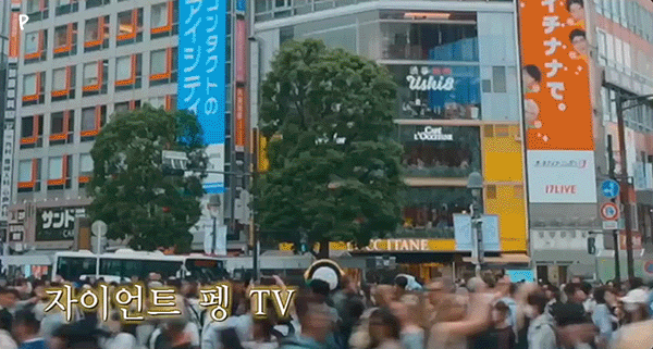IUwswA.gif