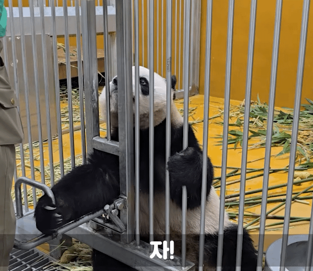 IWfikp.gif