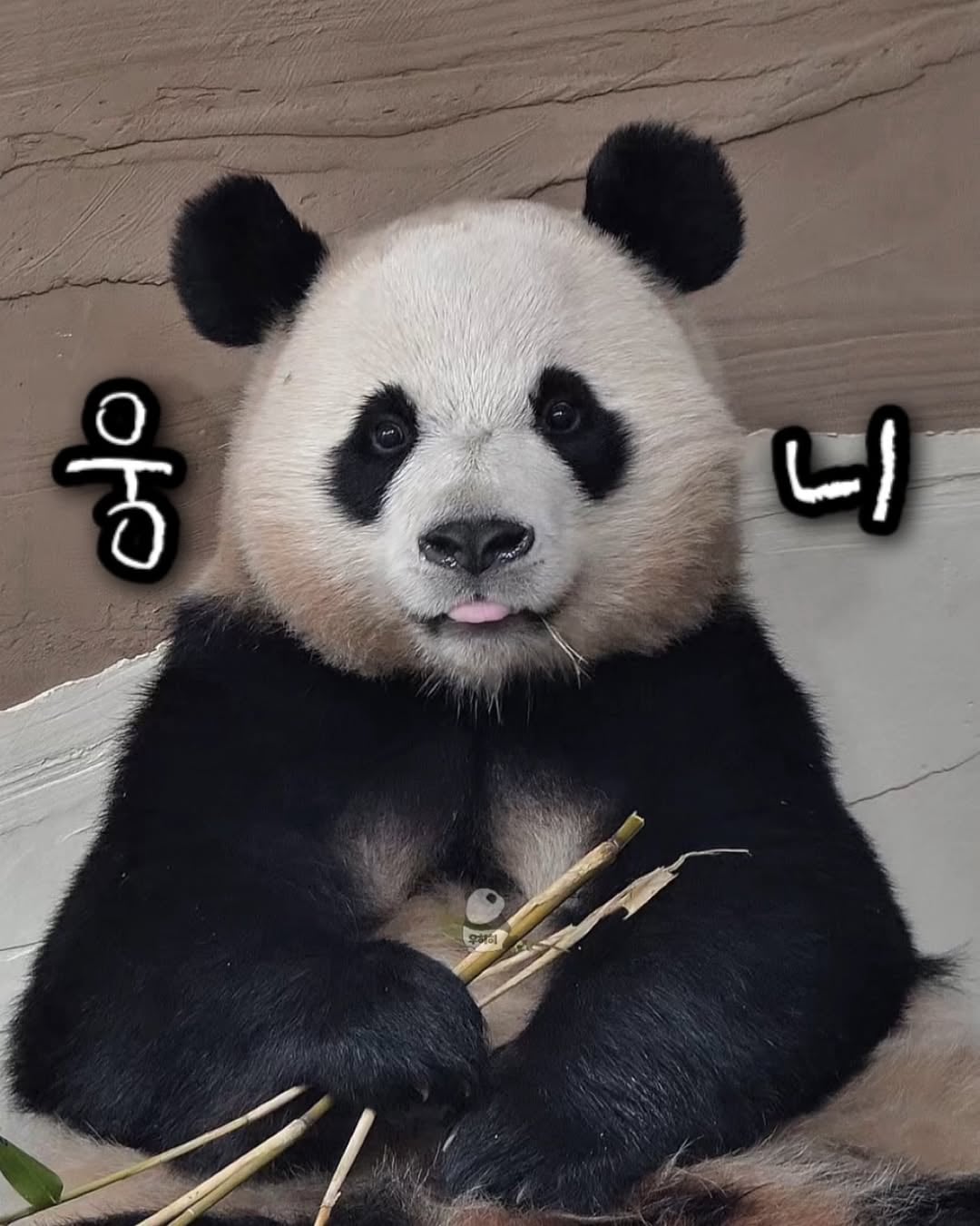 IZWZKX