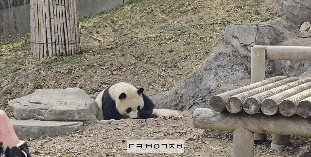 Iahusa.gif