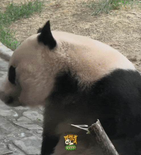 IdvMvK.gif