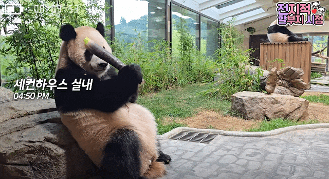 IlprZc.gif