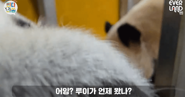 IlrviB.gif