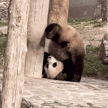 InKYmp.gif