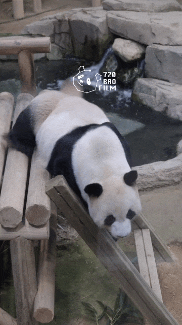 IoORKw.gif