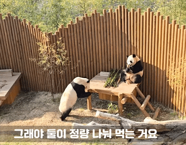 IqqpTL.gif