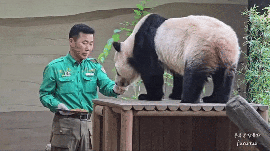 IsiTVd.gif