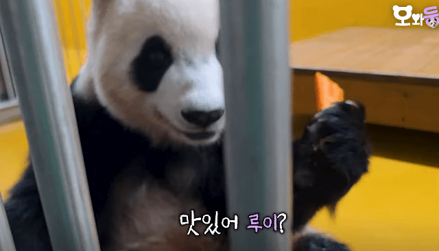 IsxqSg.gif