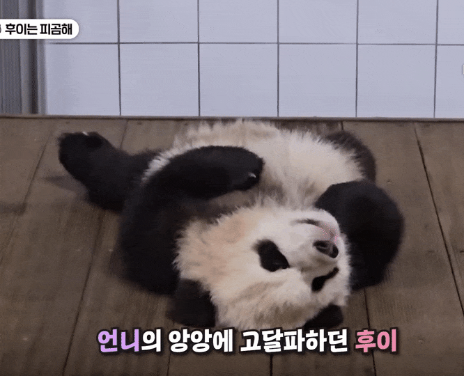 IteuYg.gif
