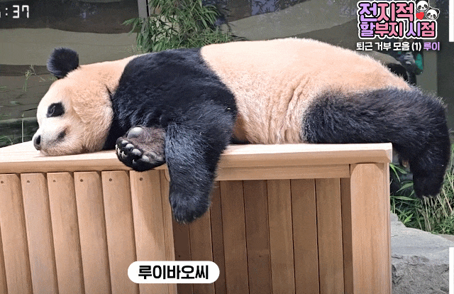 IvNqin.gif
