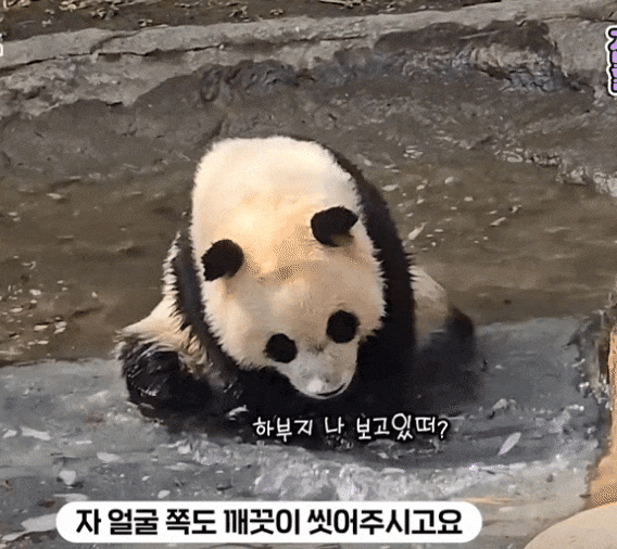IxvqDn.gif
