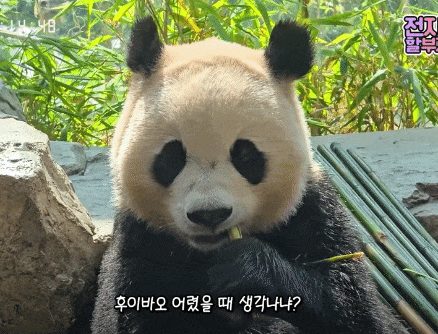 JOabTU.gif