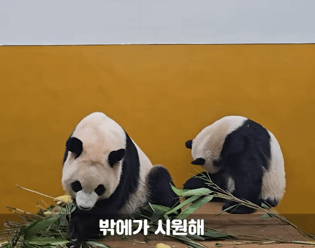 JaSjrI.gif