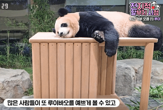 JdIAAF.gif