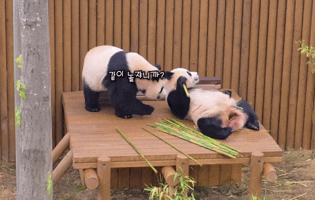 JknPTz.gif
