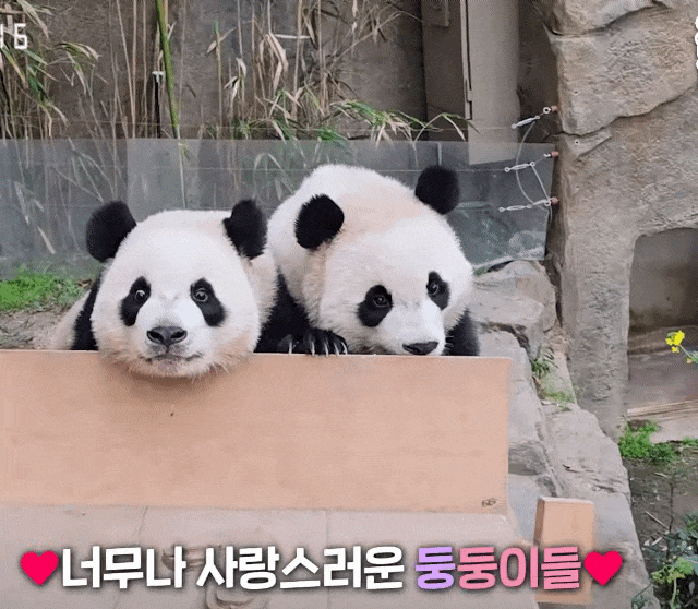 JpXeyI.gif