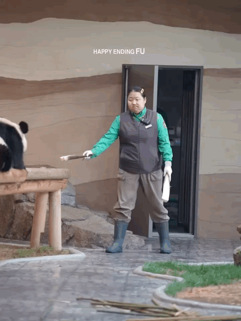 JrxRja.gif