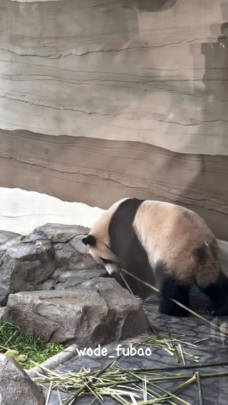 JtKJiA.gif