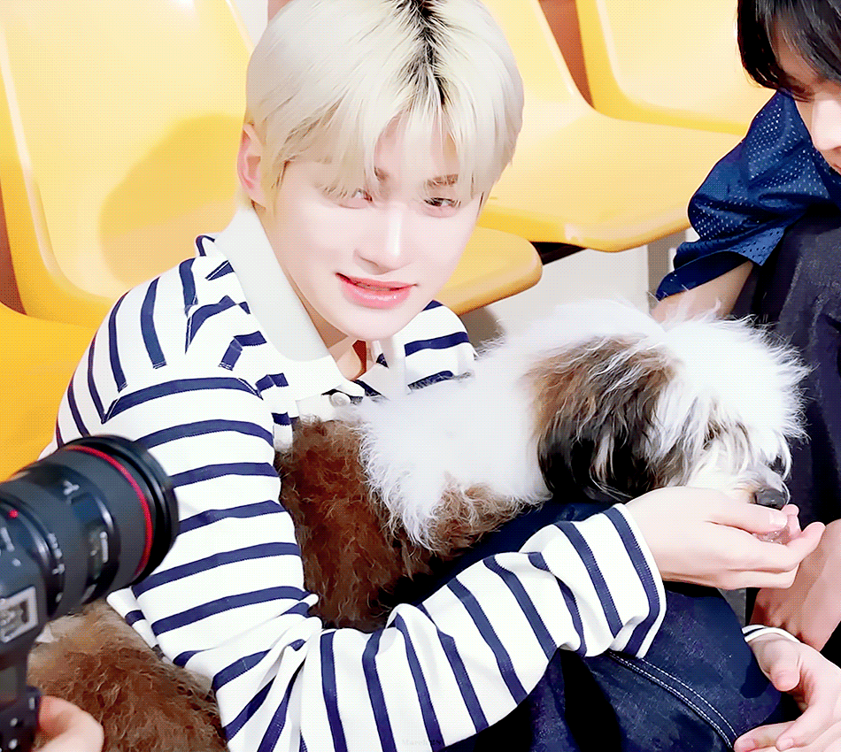 JxbWbo.gif