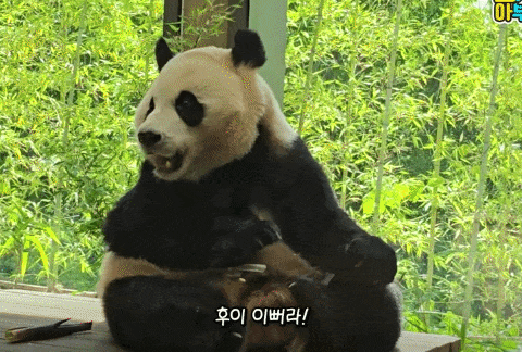 KBmHsw.gif