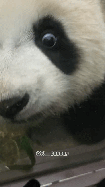 KCToXp.gif