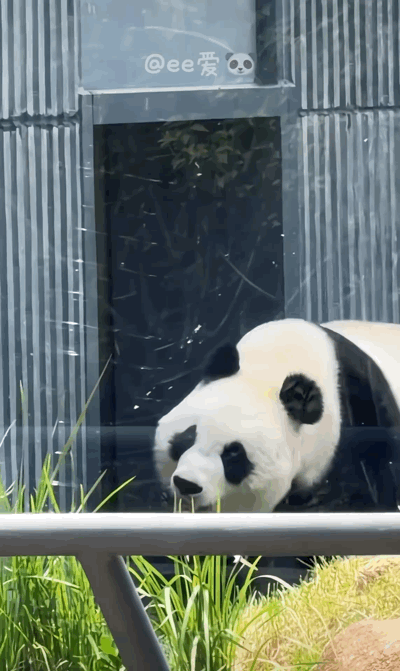 KGggjL.gif