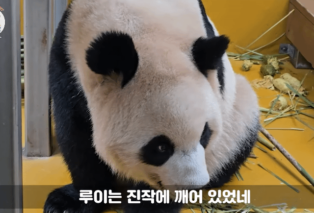 KGvxcy.gif