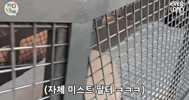 KHCsNt.gif