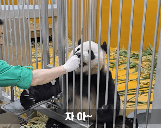 KMOlcx.gif