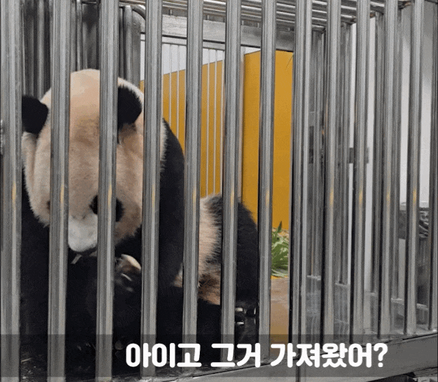 KOjvbP.gif