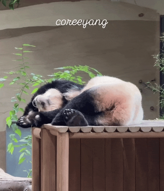 KUuqHn.gif