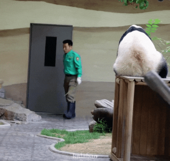 KfRdSm.gif