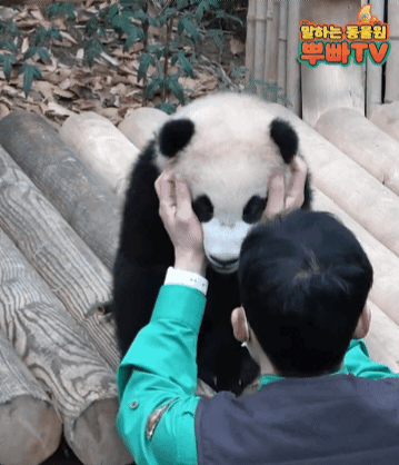 KiwdVn.gif