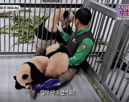 KjImdi.gif