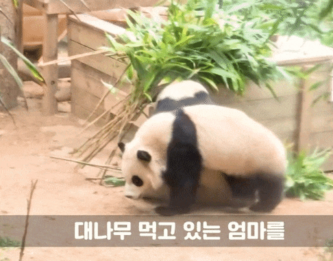 KrjXDW.gif