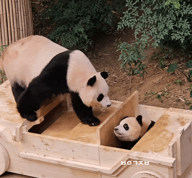 KwJSMA.gif