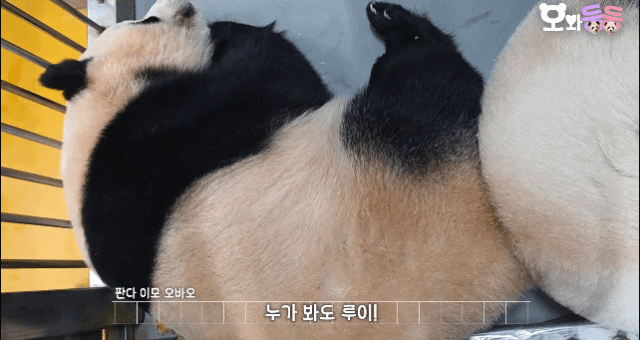KykrMl.gif