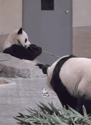 KzTfub.gif
