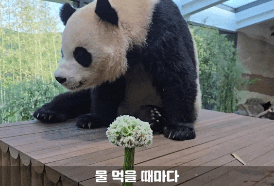 LGzVjr.gif