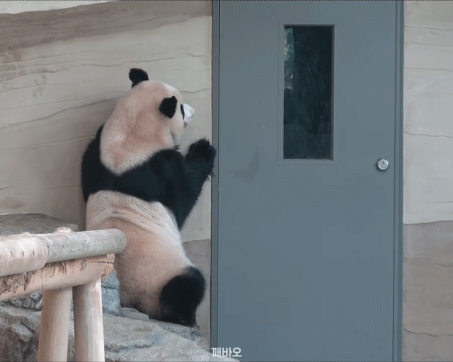 LUxEUZ.gif