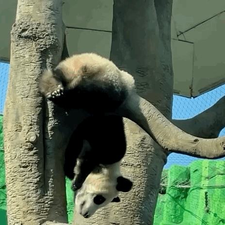 LbUJKZ.gif