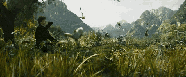 LknHok.gif