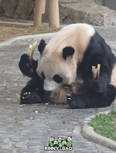 LueOxU.gif