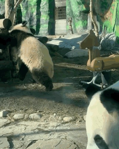LyZiuK.gif