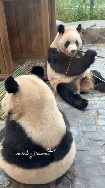 MAkJUm.gif