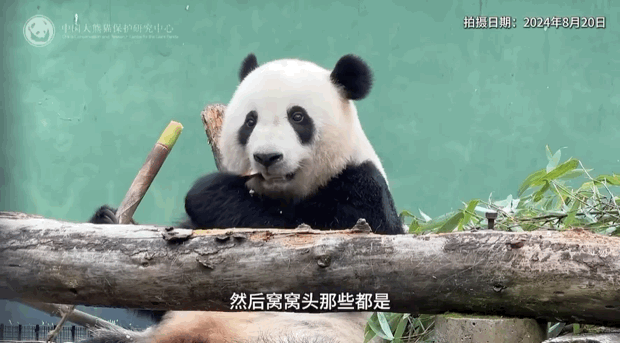 MXZaTq.gif