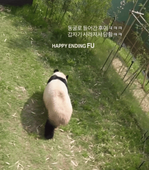 MiIcVQ.gif