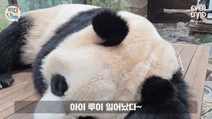 MkLdcb.gif